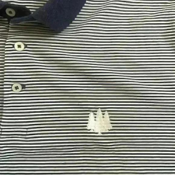 Polo Golf Performance Ralph Lauren Moisture Wicking Blue Striped Men's Sz L - Picture 5 of 9